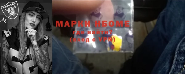 индика Протвино