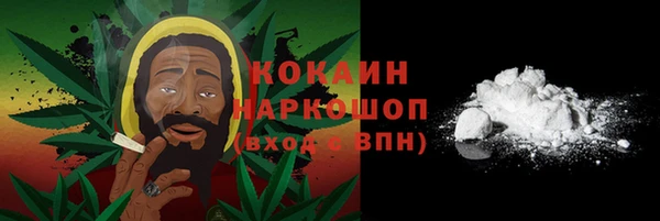 индика Протвино