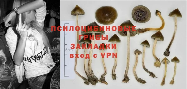 мяу мяу кристалл Белокуриха